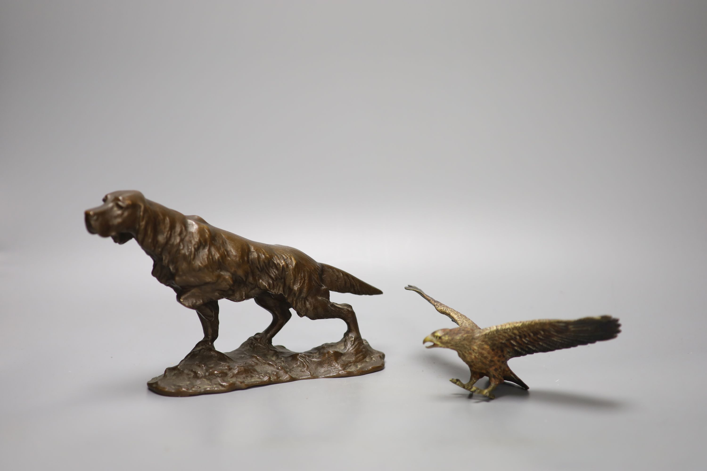 A bronze model of a setter, length 24cm, and a small cold-painted bronze figure of an eagle,